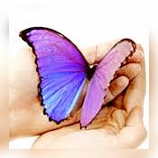 Serenity Guidance